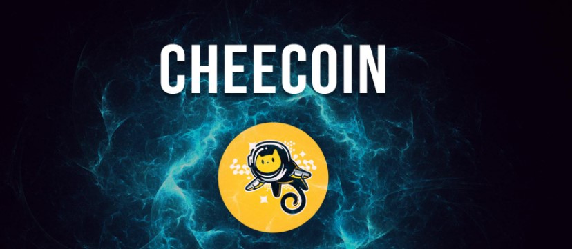 Chee coin nedir?