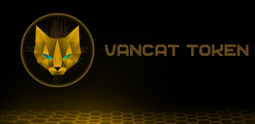 Vancat coin nedir?