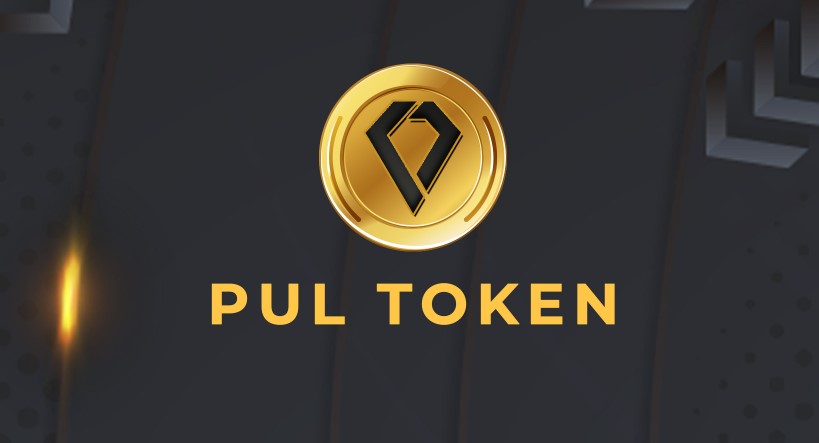 Pul token nedir?