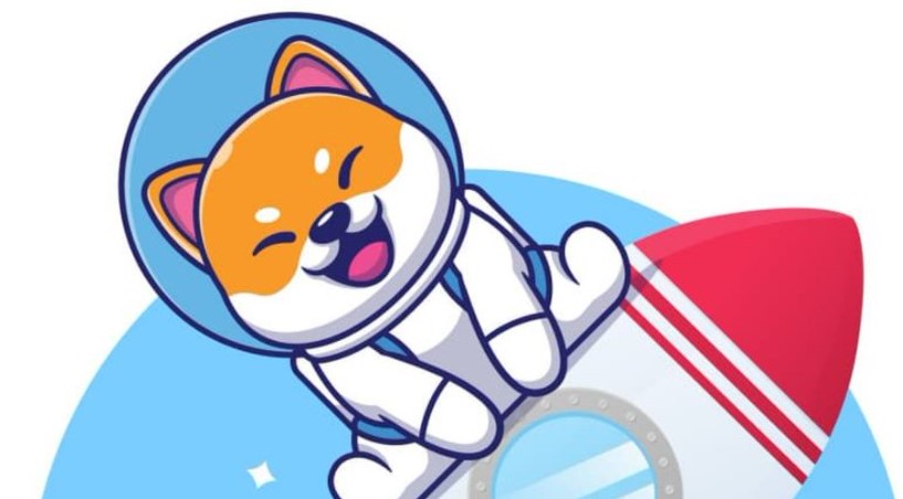 Nasa doge token nedir