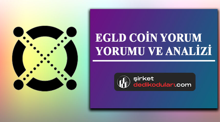 Egld coin yorum 2022