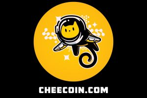 Chee coin nasıl alınır