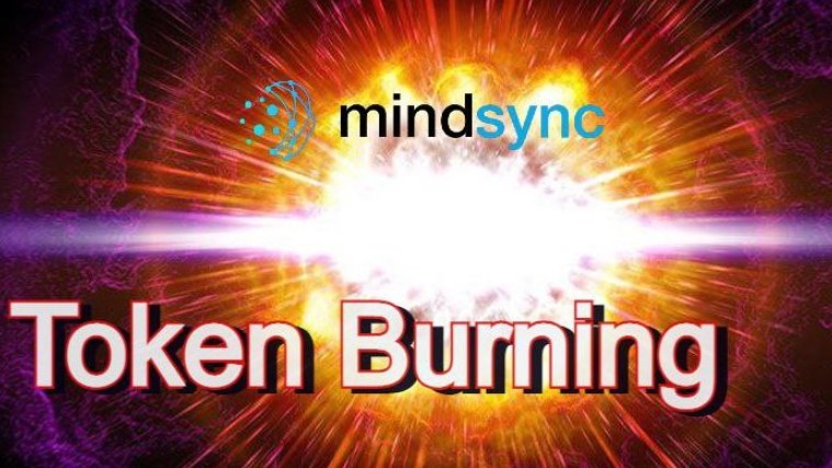 Mindsync coin nedir