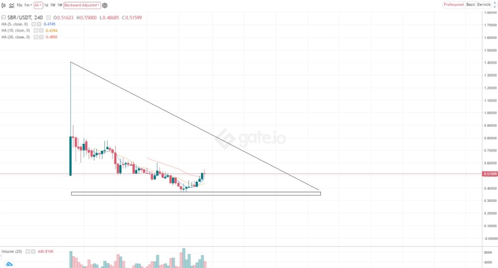 SBR coin yorum