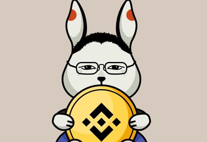 Moon rabbit coin yorum