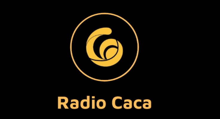 Raca coin nedir 