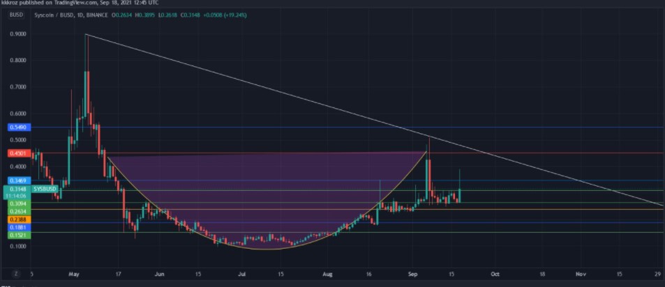 sys coin yorum