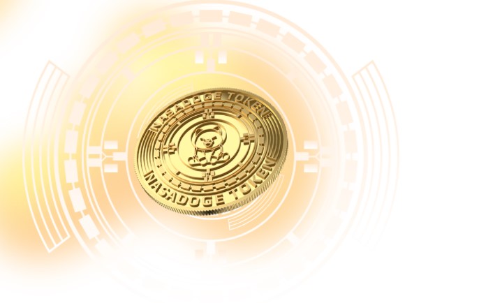 NASADOGE coin yorum