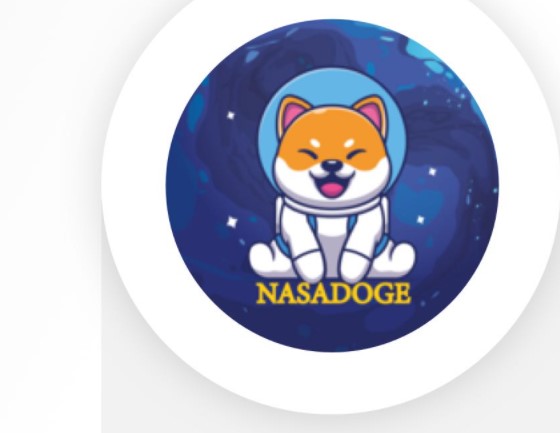 Nasa doge token nedir