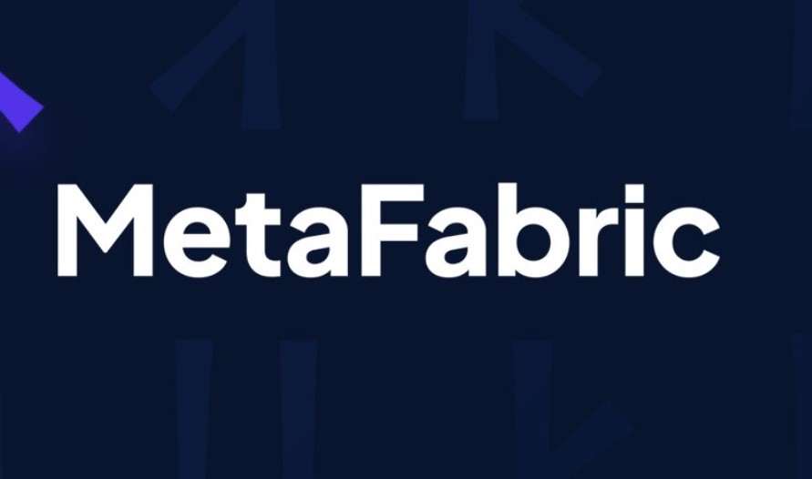 MetaFabric coin nedir