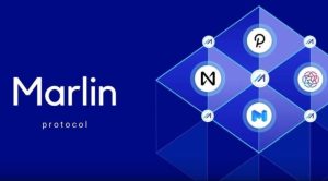 Marlin coin geleceği 2022