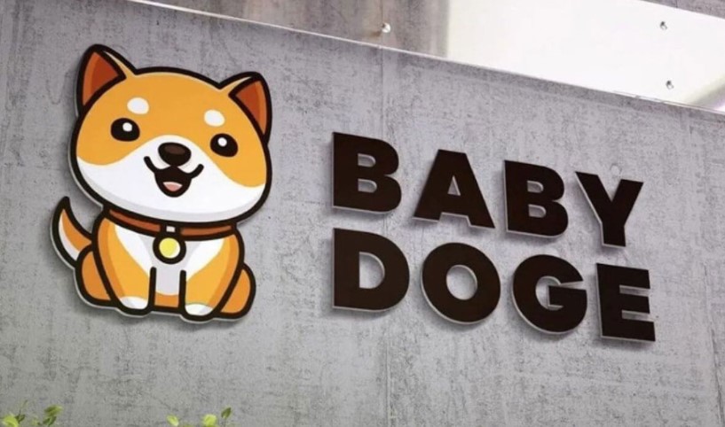 Baby doge coin yorum 2022