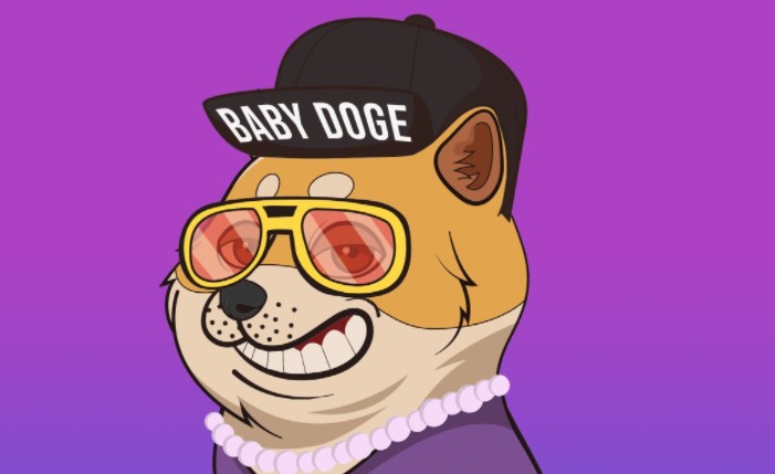 Baby doge coin fiyatı