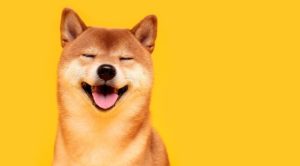 Dogecoin yorum 2022