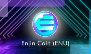 Enjin coin kimin