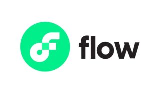 FLOW coin geleceği 2022