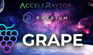 Grape coin yorum 2022