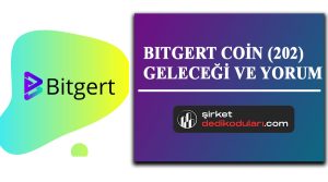 Bitgert coin geleceği