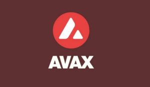 AVAX coin fiyatı