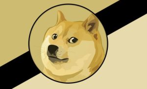 Dogecoin fiyat analizi 2022