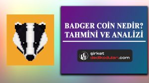 Badger coin nedir?