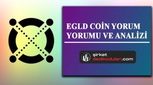 Egld coin yorum 2022