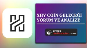 XHV coin nedir?