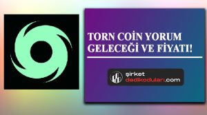 TORN coin geleceği