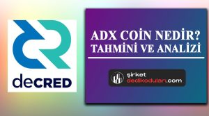 DCR coin yorum 2022