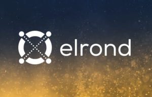 Elrond coin geleceği 2022