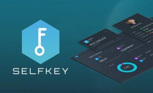 selfkey coin nedir