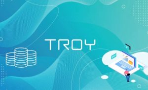 Troy coin nedir