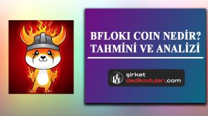 BFLOKI coin nedir?