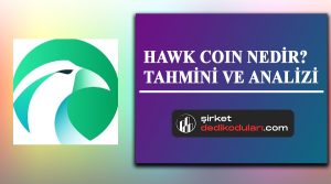 Hawksight coin nedir?