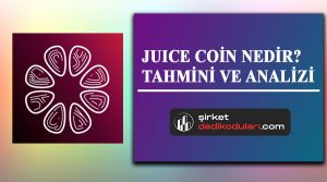 Juice coin nedir?