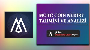 MOTG coin nedir?