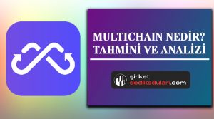 Multichain coin nedir?