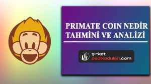 Primate coin nedir?