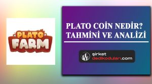 PLATO coin nedir?