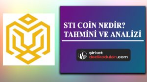 STI coin nedir?