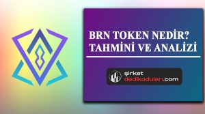 BRN token nedir?