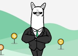 Alpaca coin yorum 2022