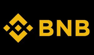 BNB coin geleceği 2022