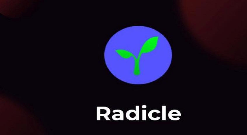 radicle coin binance