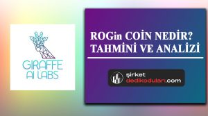 ROG coin nedir?