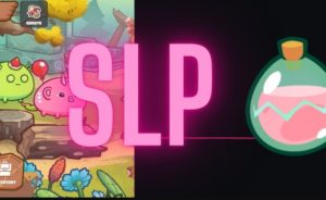 SLP token analysis