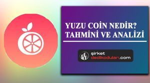 YUZU coin nedir?