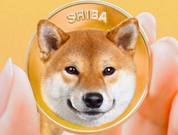 Terra Luna'dan Sonra Sırada Shiba Inu Coin Mi Var?