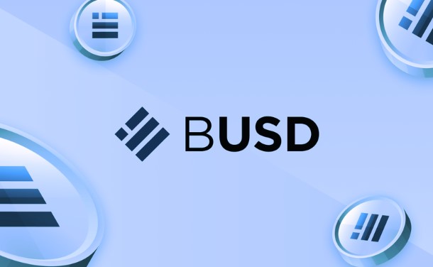 Binance USD Coin nedir