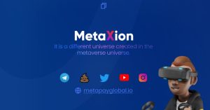 MetaPAY Coin Geleceği